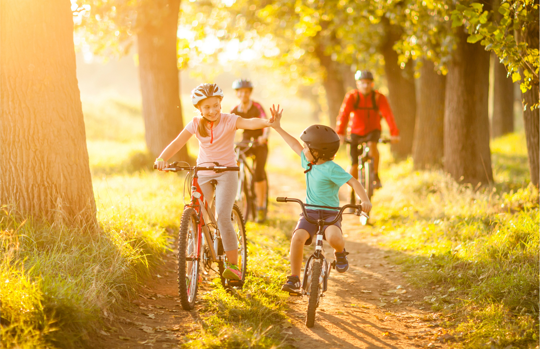 Велосемья. Прогулки на велосипеде всей семьей. Семья на велосипедах. Семья на прогулке. Катание на велосипеде.